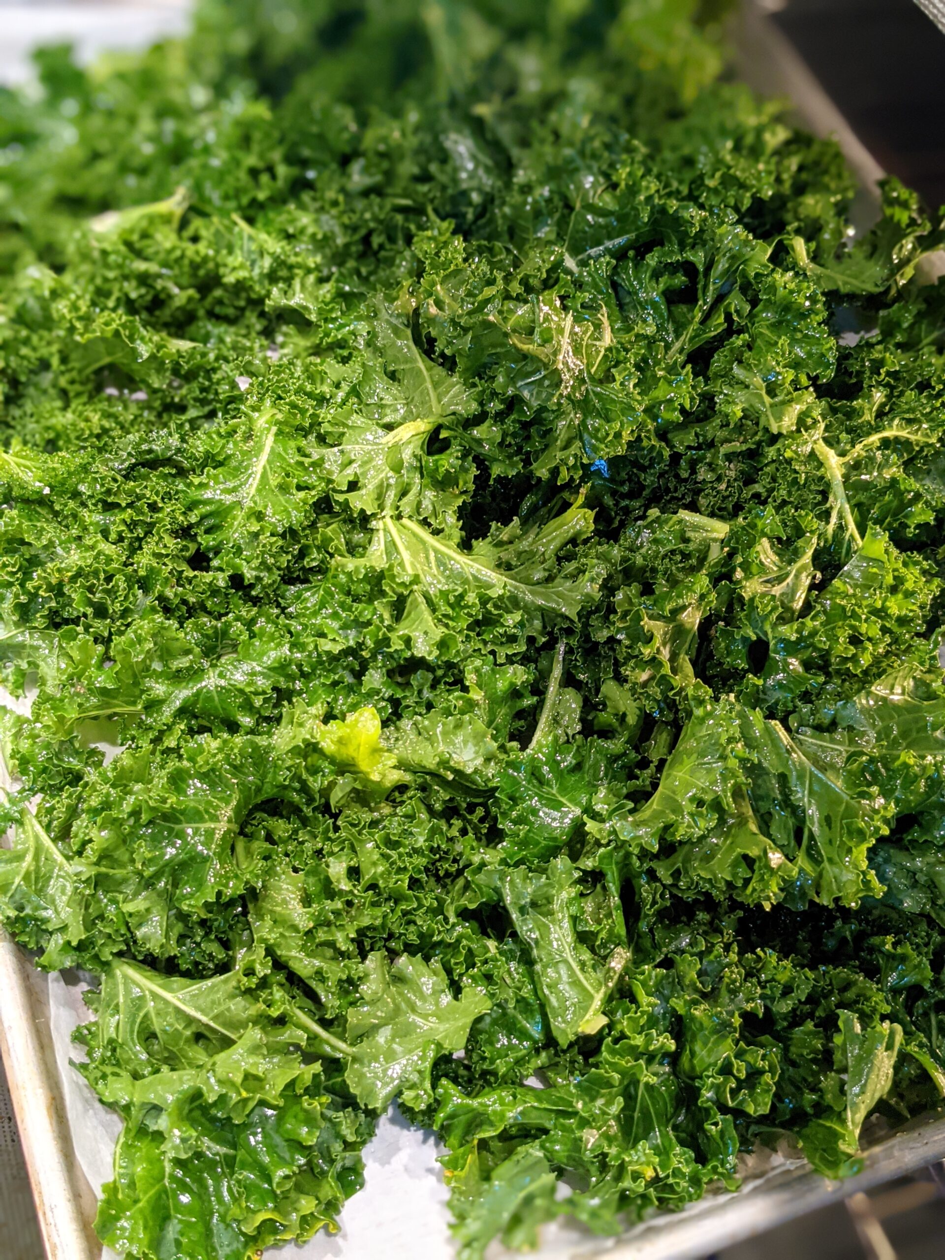 Garlic Kale Chips